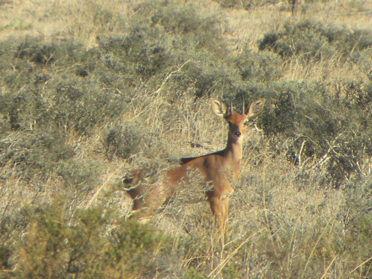 Tortoise Trail Lodge Langebaan Bagian luar foto