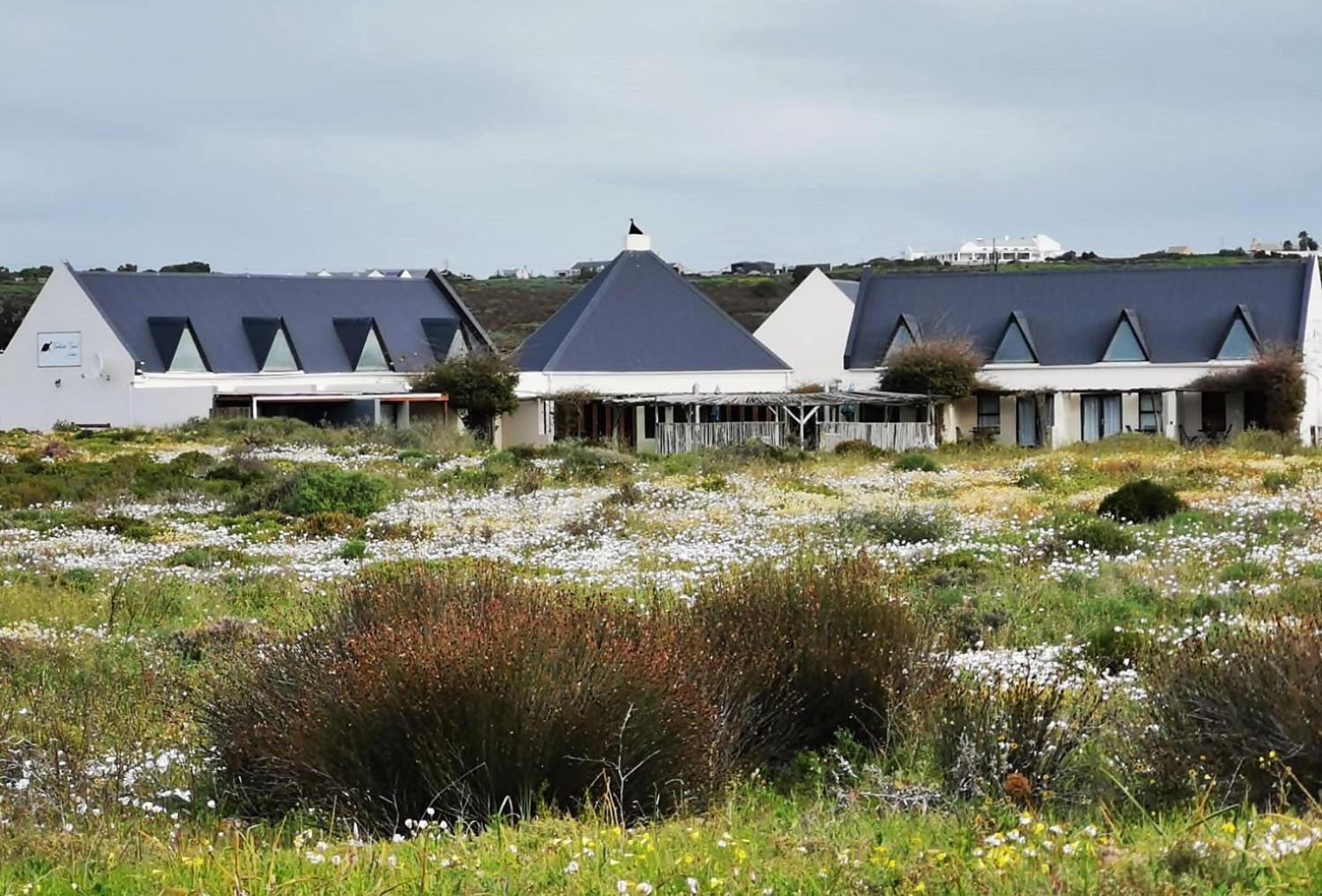 Tortoise Trail Lodge Langebaan Bagian luar foto
